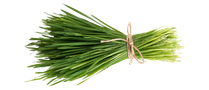 Home grass leaves